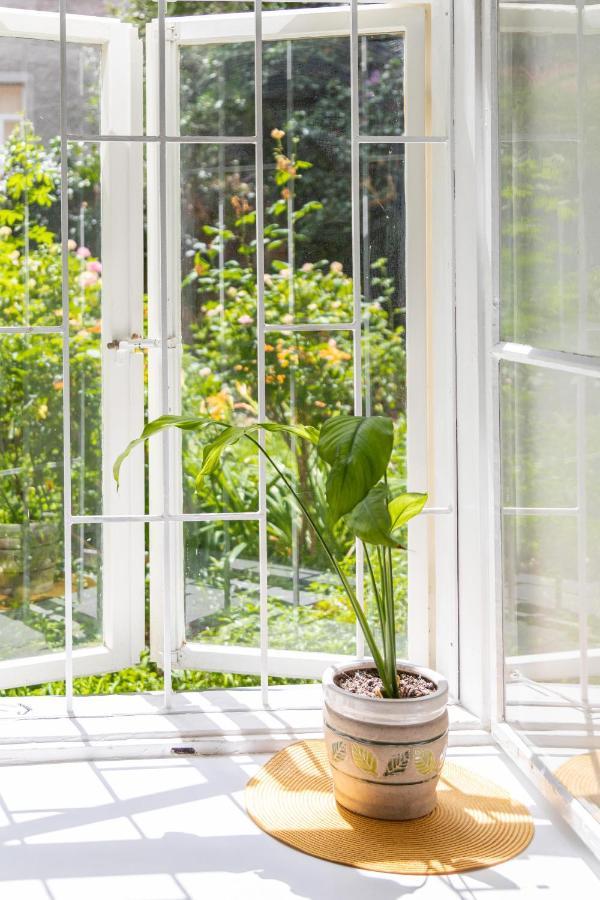 Cozy And Bright 1Bdr Apartment In The City Center! Zagreb Exteriör bild